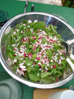 salat2